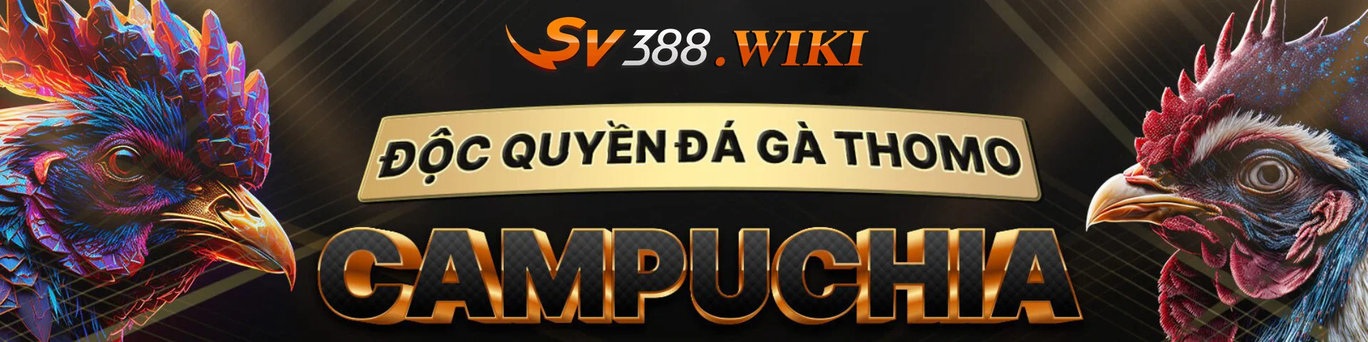 SV388 citi 🎖️ SV 388 | Link Trực Tiếp Đá Gà SV388 KIWI Chuẩn 【10/2025】 1 SV388 độc quyền đá gà Thomo Campuchia