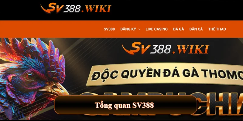 SV388 citi 🎖️ SV 388 | Link Trực Tiếp Đá Gà SV388 KIWI Chuẩn 【10/2025】 30 Tổng quan SV388
